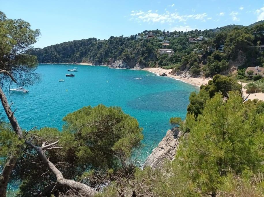 Appartamento La Calma De Tossa Girona Esterno foto