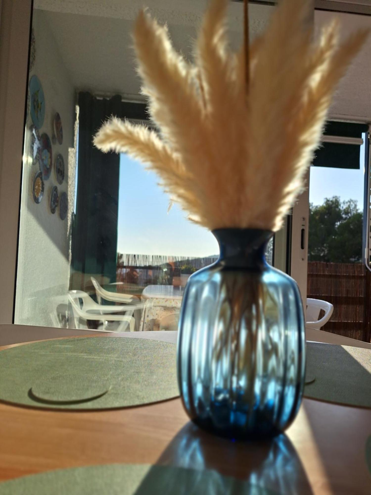 Appartamento La Calma De Tossa Girona Esterno foto